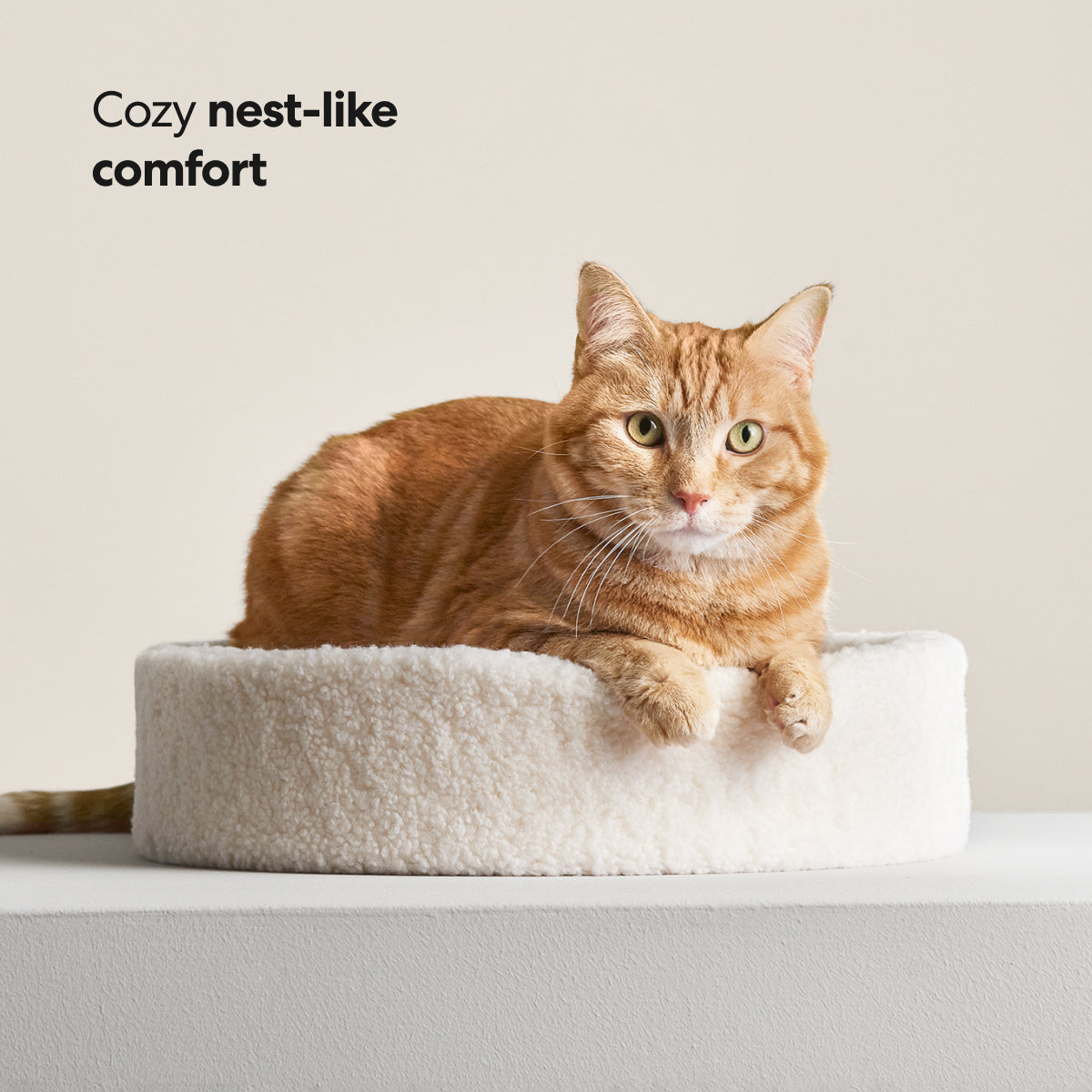 Kip Cat Bed